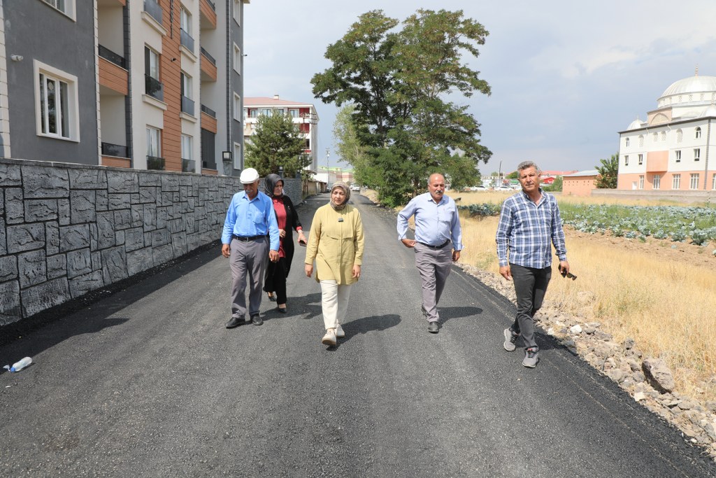 Hevserok Güler Temel Asfalt Xebatên Serimê Li Dîmenê Lêkolîn Kir